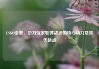 CSGO引擎，助力玩家驰骋战场的核心动力及其优缺点