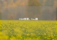 CSGO传奇，Coco姐