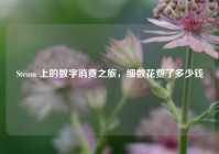 Steam 上的数字消费之旅，细数花费了多少钱