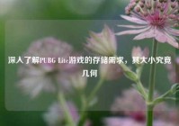 深入了解PUBG Lite游戏的存储需求，其大小究竟几何