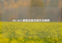NBA 2K13 键盘设置及操作全解析
