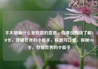 不太明确什么克敖隐的意思，如果仅围绕了解SM卡，存储世界的小能手，标题可以是，探秘SM卡，存储世界的小能手