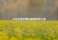 小伙在海外舞台唱响逆战之歌