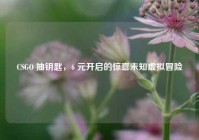 CSGO 抽钥匙，6 元开启的惊喜未知虚拟冒险