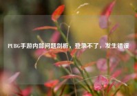 PUBG手游内部问题剖析，登录不了，发生错误