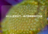 DNF Boss定位补丁，助力游戏体验大升级