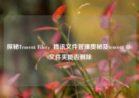 探秘Tencent Files，腾讯文件管理奥秘及tencent files文件夹能否删除
