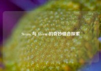 Steam 与 Xterm 的奇妙组合探索