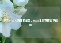 探寻Steam礼物界面位置，Steam礼物页面究竟在哪