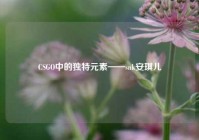 CSGO中的独特元素——snk安琪儿