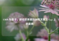 CSGO 与麦子，游戏世界里的别样关联之 Csgo 上的麦穗