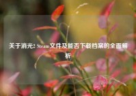 关于消光2 Steam文件及能否下载档案的全面解析