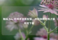 畅玩 Pubg 吃鸡手游低配版，开启别样吃鸡之旅并可下载