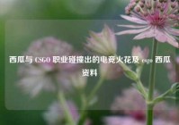 西瓜与 CSGO 职业碰撞出的电竞火花及 csgo 西瓜资料