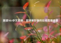 新浪NBA中文直播，篮球爱好者的在线直播盛宴