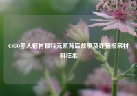 CSGO黑人棺材独特元素背后故事及诈骗报案材料样本
