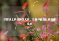 绿茵场上的德国颜究队，世界杯德国队员颜值排名