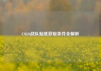 CSGO战队贴纸获取条件全解析