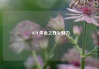 CSGO 炼金之野火魅力
