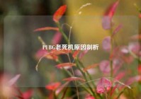 PUBG老死机原因剖析