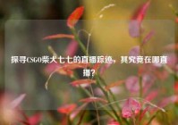探寻CSGO柴犬七七的直播踪迹，其究竟在哪直播？