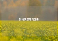 我的偶偶吧与猫扑