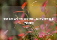 重装系统后文件恢复全攻略，解决文件恢复不了的难题