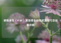 绝地求生（PUBG）落地得全自动武器技巧及设置攻略