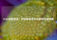 PUBG初始凭证，开启绝地求生之旅的关键钥匙