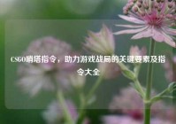 CSGO哨塔指令，助力游戏战局的关键要素及指令大全
