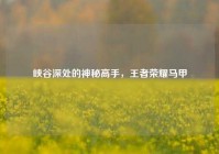 峡谷深处的神秘高手，王者荣耀马甲