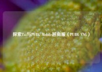 探索Tai与PUBG Mobile越南服（PUBG VNG）