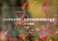 CSGO平台占有率，电竞领域的重要指标及各大平台情况