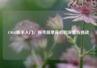 CSGO新手入门，探寻简单背后的深度与挑战