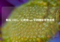 畅玩 COD16，云游戏 app 中的精彩世界探索