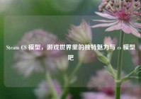 Steam CS 模型，游戏世界里的独特魅力与 cs 模型吧