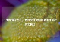 王者荣耀花木兰，历经变迁仍值得拥有及能否购买探讨