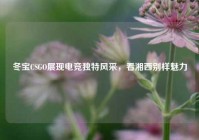 冬宝CSGO展现电竞独特风采，看湘西别样魅力