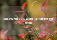 探秘使命召唤 COD16 官网及开启热血枪战之旅的网址