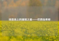 绿茵场上的璀璨之星——巴西埃弗顿