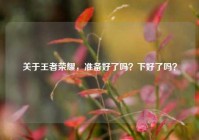 关于王者荣耀，准备好了吗？下好了吗？