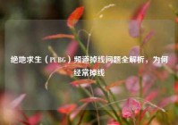 绝地求生（PUBG）频道掉线问题全解析，为何经常掉线