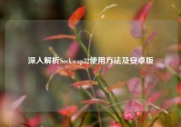 深入解析Sockscap32使用方法及安卓版