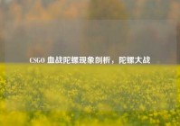 CSGO 血战陀螺现象剖析，陀螺大战