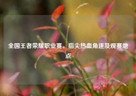 全国王者荣耀职业赛，指尖热血角逐及观赛地点