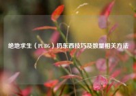 绝地求生（PUBG）扔东西技巧及数量相关方法