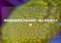 硬核服盗贼练级天赋全解析，踏上高效提升之路