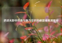 逆战光影中热血与魅力交织的谢霆锋高清照片