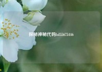 探秘神秘代码lol55675446
