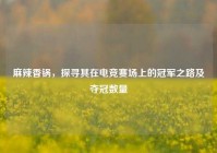 麻辣香锅，探寻其在电竞赛场上的冠军之路及夺冠数量